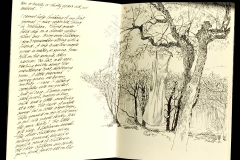 jauneth-skinner-©-giardino-perugia-illustrated-journal-pages-umbria-italy