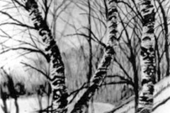jauneth-skinner-©-2001-dark-lake-heliogravure-print-winter-landscape-mn