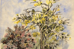 jauneth-skinner-©-2005-autunno-intaglio-w-hand-coloring-landscape-tree